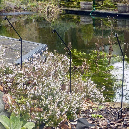 British made pest heron pond - pest,
