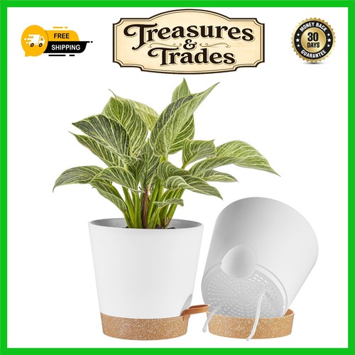 Modern self watering planter - watering,