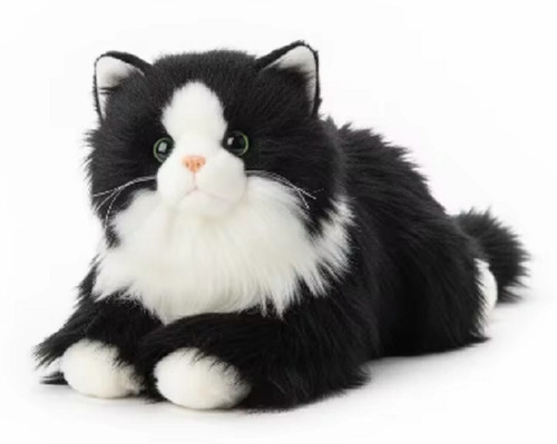 Realistic black white cat - realistic, &