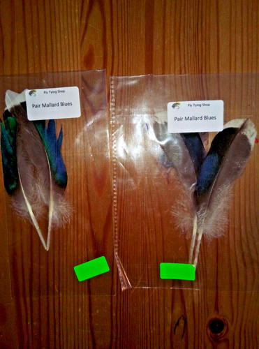 Pair mallard blues 2 - blues,
