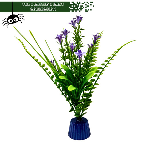 Display plants for - display,