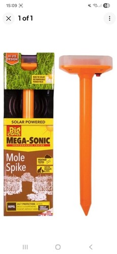 The big cheese mega sonic - the,
