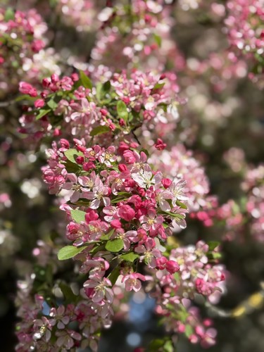 Helios 44m 58mm m42 lens - m42,