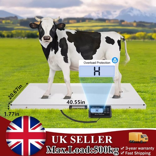 Digital veterinary scale - digital,