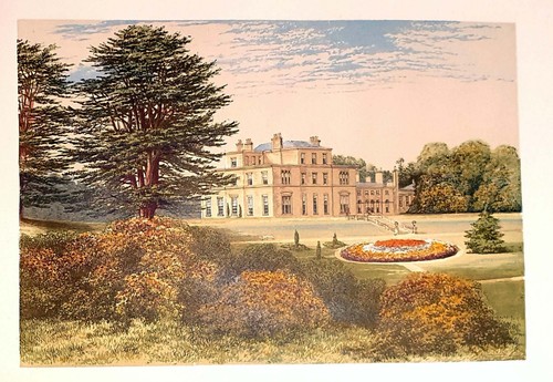 Antique print eden - print,