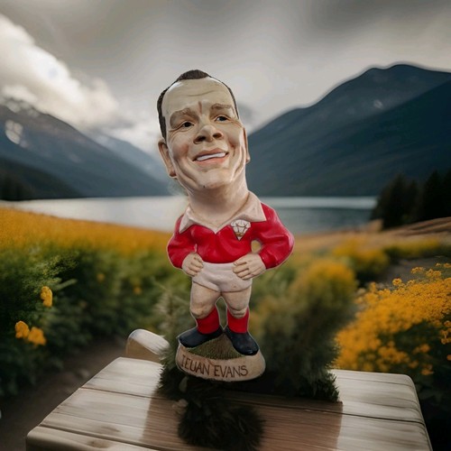 Ieaun evans welsh rugby - 14,