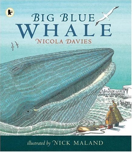 Big blue whale - big,