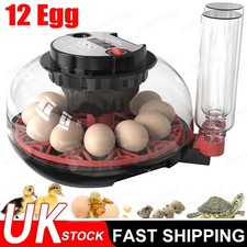 Egg incubator for - 12,