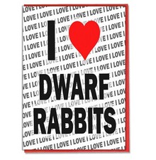 Greeting Card - Birthday Card