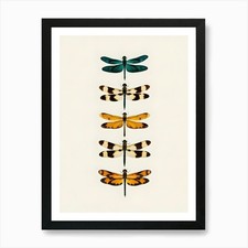 Dragonflies Art Print Framed