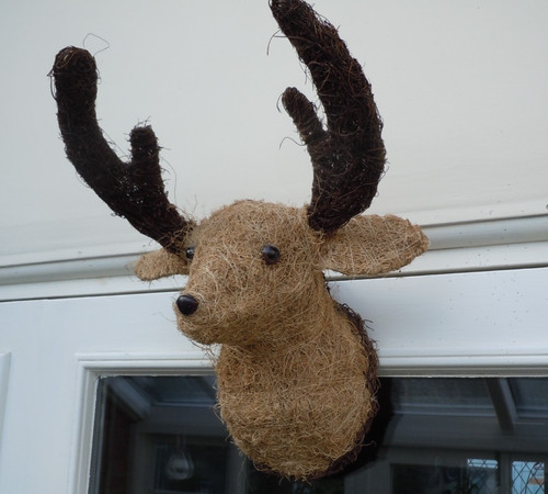 Large stags head rattan rustic - stags,