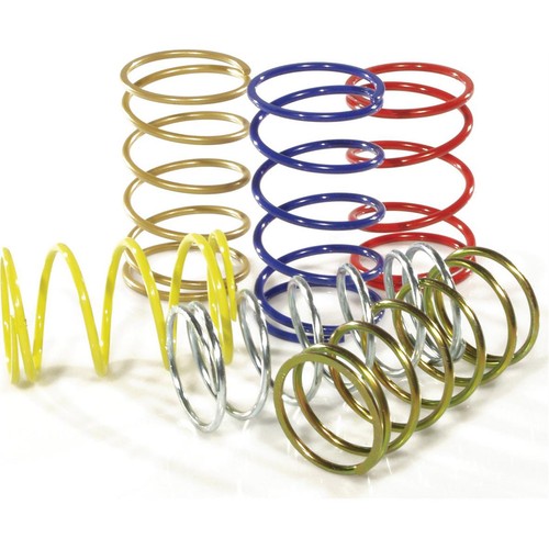 Malossi m2911478 valve spring - malossi,