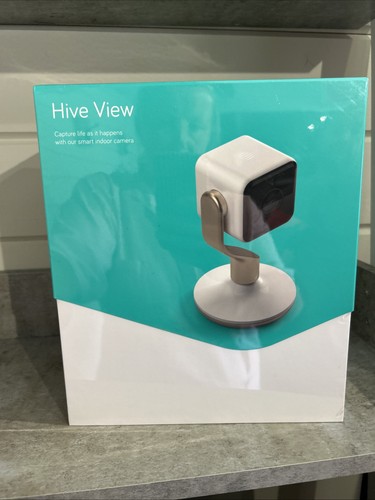 Hive view indoor - hive, white