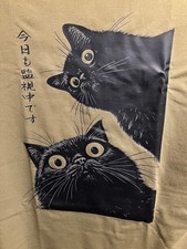 The Cat is Watching Black Cat