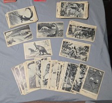 Rare Prehistoric Hobby Trading