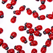 Red Ladybirds Wooden Craft