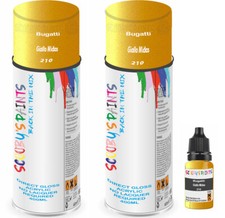 For Bugatti Spray Paint