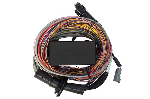 Haltech ecu elite 750 premium - haltech,
