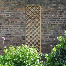 Hidcote Diamond Lattice
