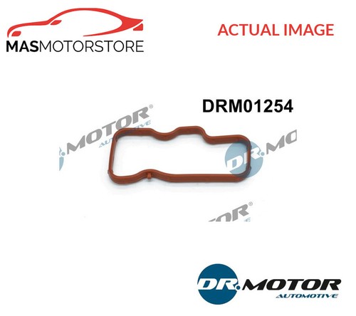 Intake manifold gasket - intake,