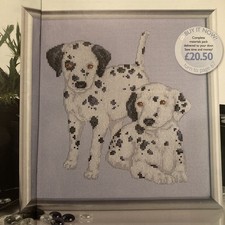 Dalmatian puppy dogs Cross