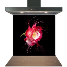 Kitchen Glass Splashback
