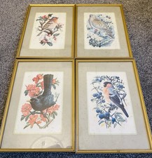 Set vintage framed bird - 4,