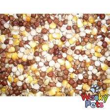 Johnston & Jeff All Rounder