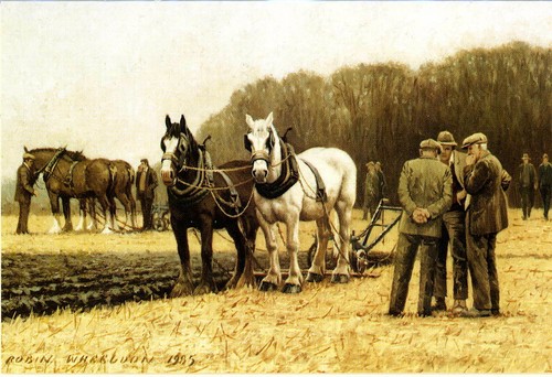 Ploughing match pairs - pairs, of