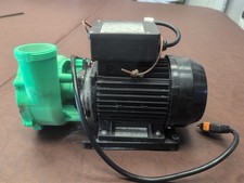 Waterway Executive Euro Pump 2