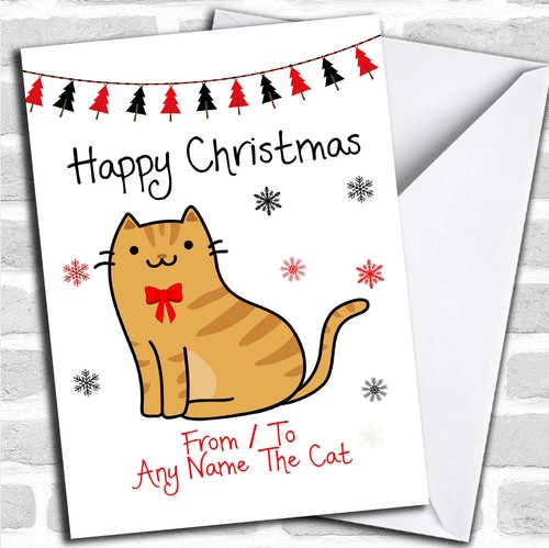 Ginger tabby from the - from,