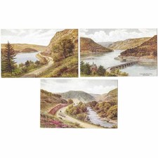 RHAYADER Radnorshire 3x Art