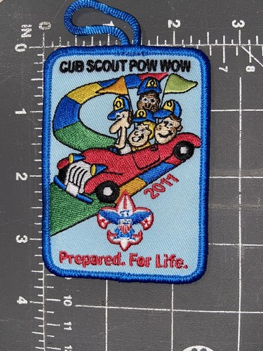 Cub boy scouts - scouts, wow
