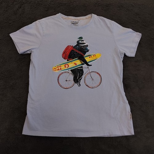 Surf bear bycicle ride - bycicle,