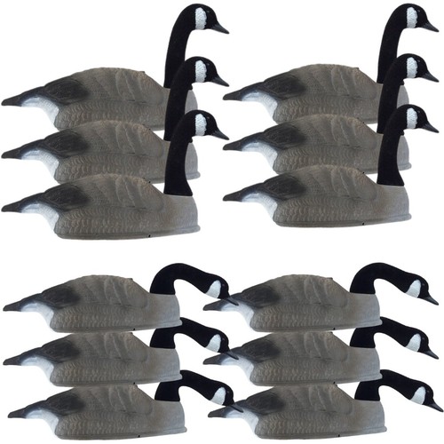 Canada goose decoy shell - canada,