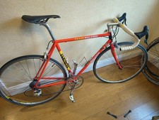 RALEIGH Ti - TEAM REPLICA 