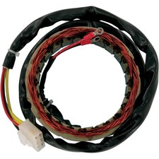 Ricks Electric Magneto Stator