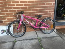 Pink Frog Bike 55 Child’s
