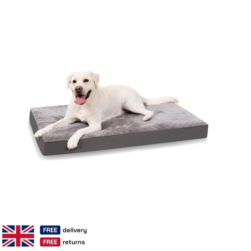 Memory foam dog - foam, medium