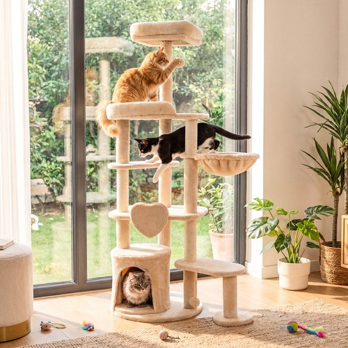 Large multi level cat - multi-level,