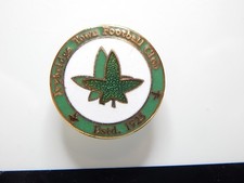 Ivybridge Town Football Club