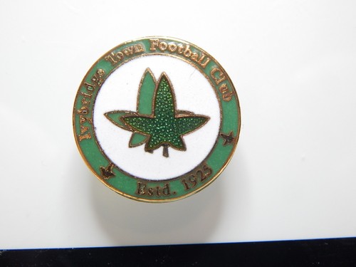 Ivybridge town football club - ivybridge,