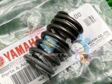 MT-09 Valve Outer Springs - In