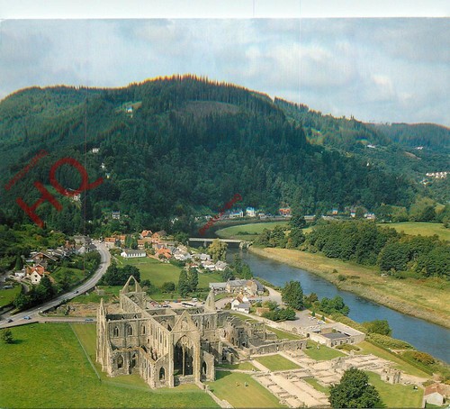 Picture postcard tintern - picture, postcard-:tintern
