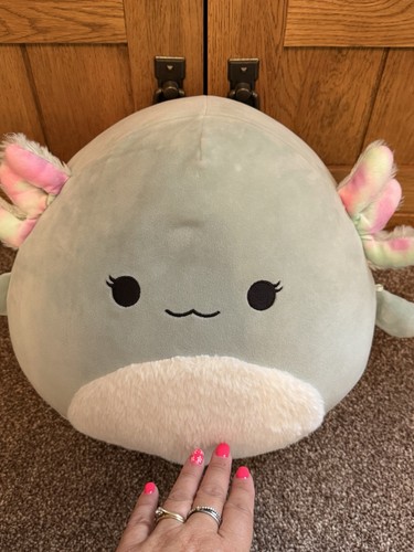 Axolotl squishmallow - axolotl,