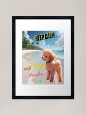 Cute Poodle for You to Follow