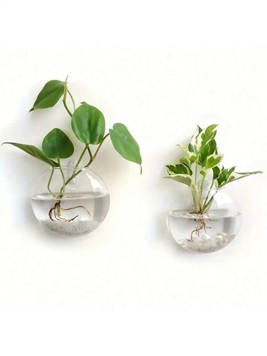 Wall hanging glass terrarium - glass,