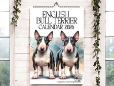 English Bullterrier 2026-Dog