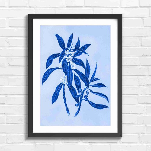 Botanical flower and - botanical,