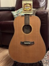 Tanglewood Evolution